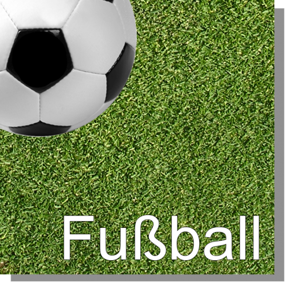 Datei:Fussball-MOOCs.png