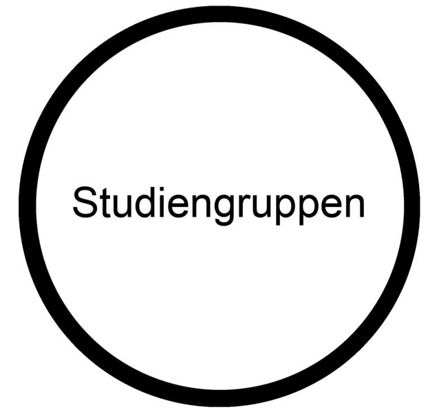Datei:Studiengruppen.png
