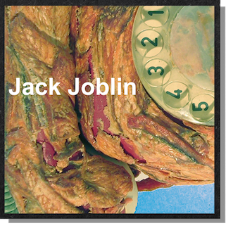 Datei:Jack Joblin MOOC.png