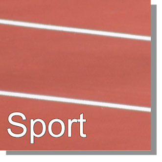 Datei:Sport-MOOCs.png