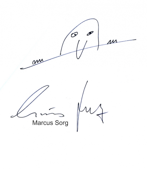 Datei:Marcus Sorg.png