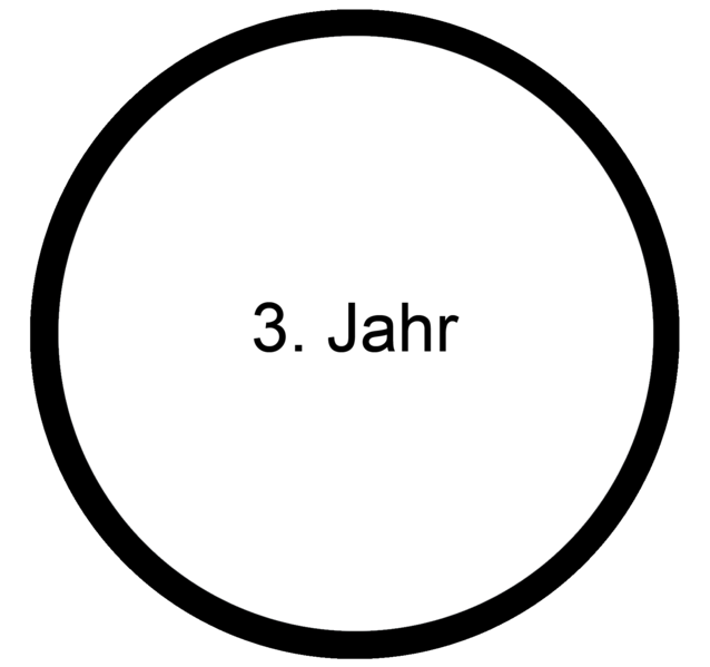 Datei:Baby MOOC - Drittes Jahr.png