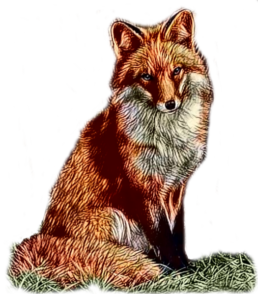 Datei:Fuchs.png