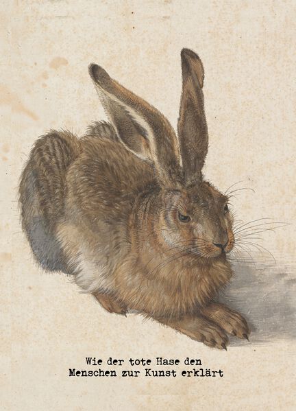 Datei:Wie der tote Hase den Menschen zur Kunst erklärt - Albrecht Dürer Joseph Beuys Hase.jpg