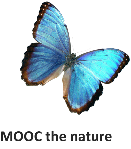 Datei:MOOC the nature.png