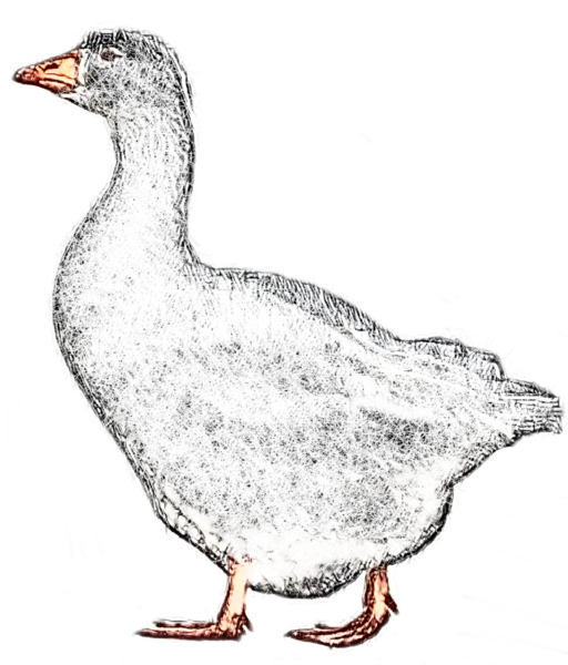 Datei:Gans gestohlen.png