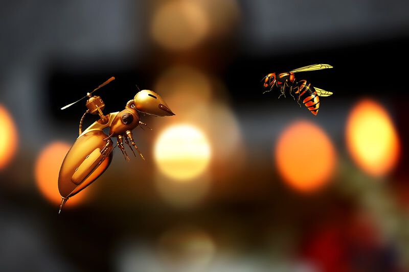 Datei:Bee-2.jpg