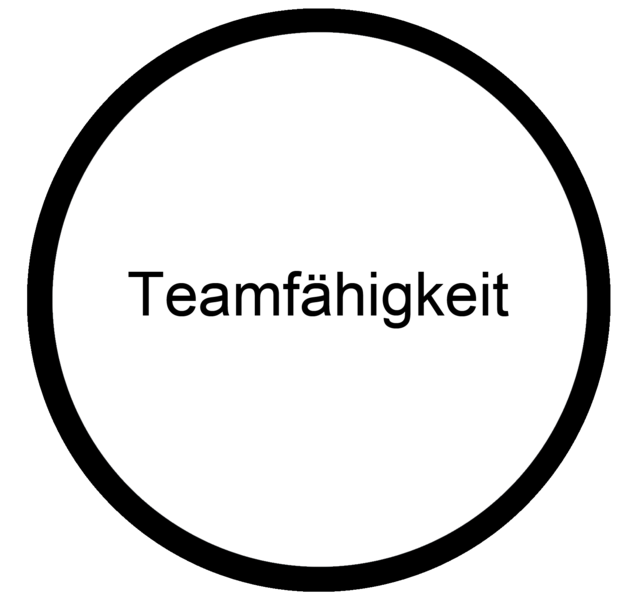 Datei:Teamfaehigkeit Koennen Berufsorientierungs-Kompetenzraster MOOCit.png